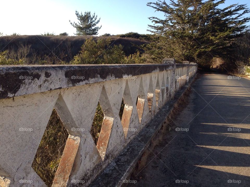 Ano Nuevo bridge 
