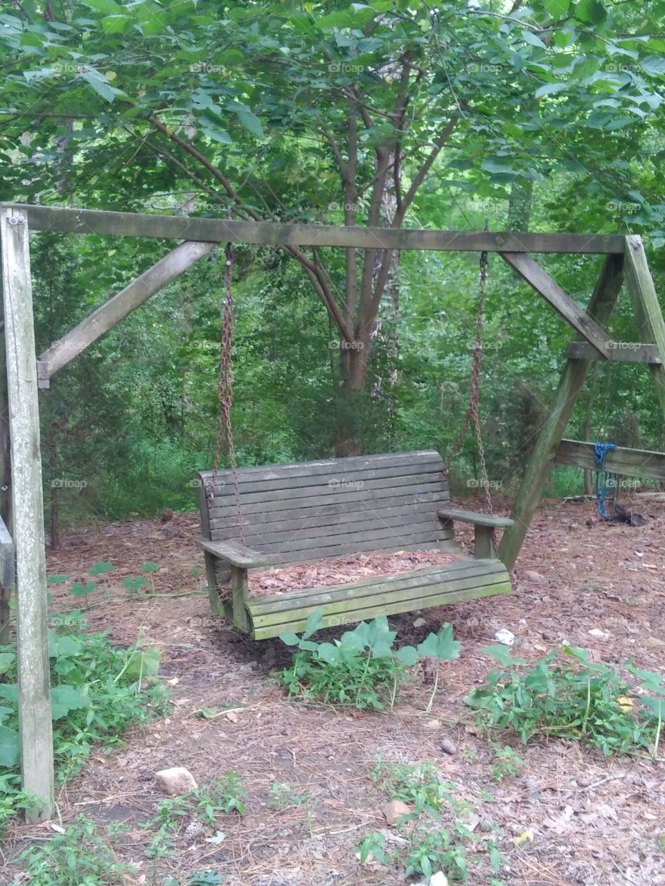old abandoned swing
