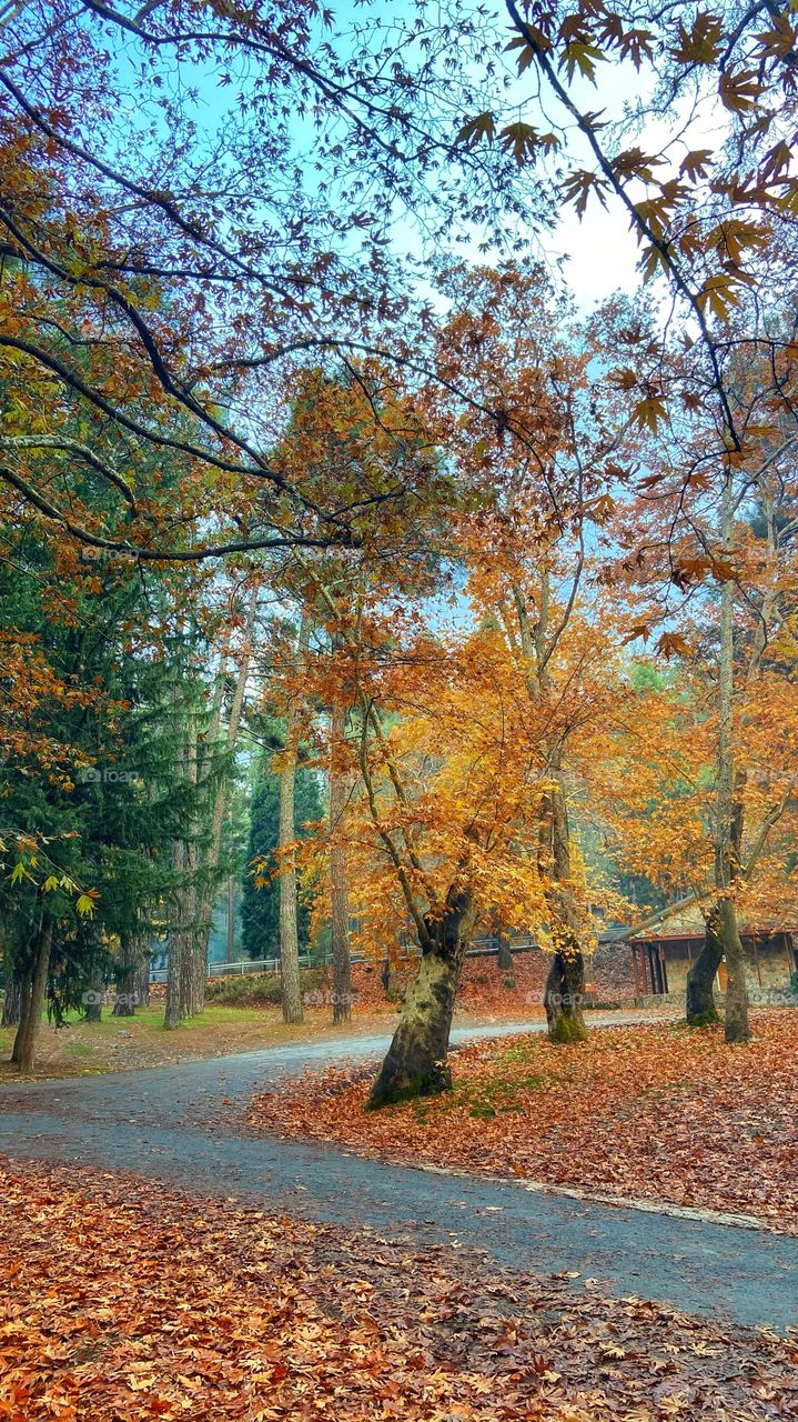 Autumn in Cyprus. An amazing time for a small trip to the mountains. Relaxing the mind and soul 