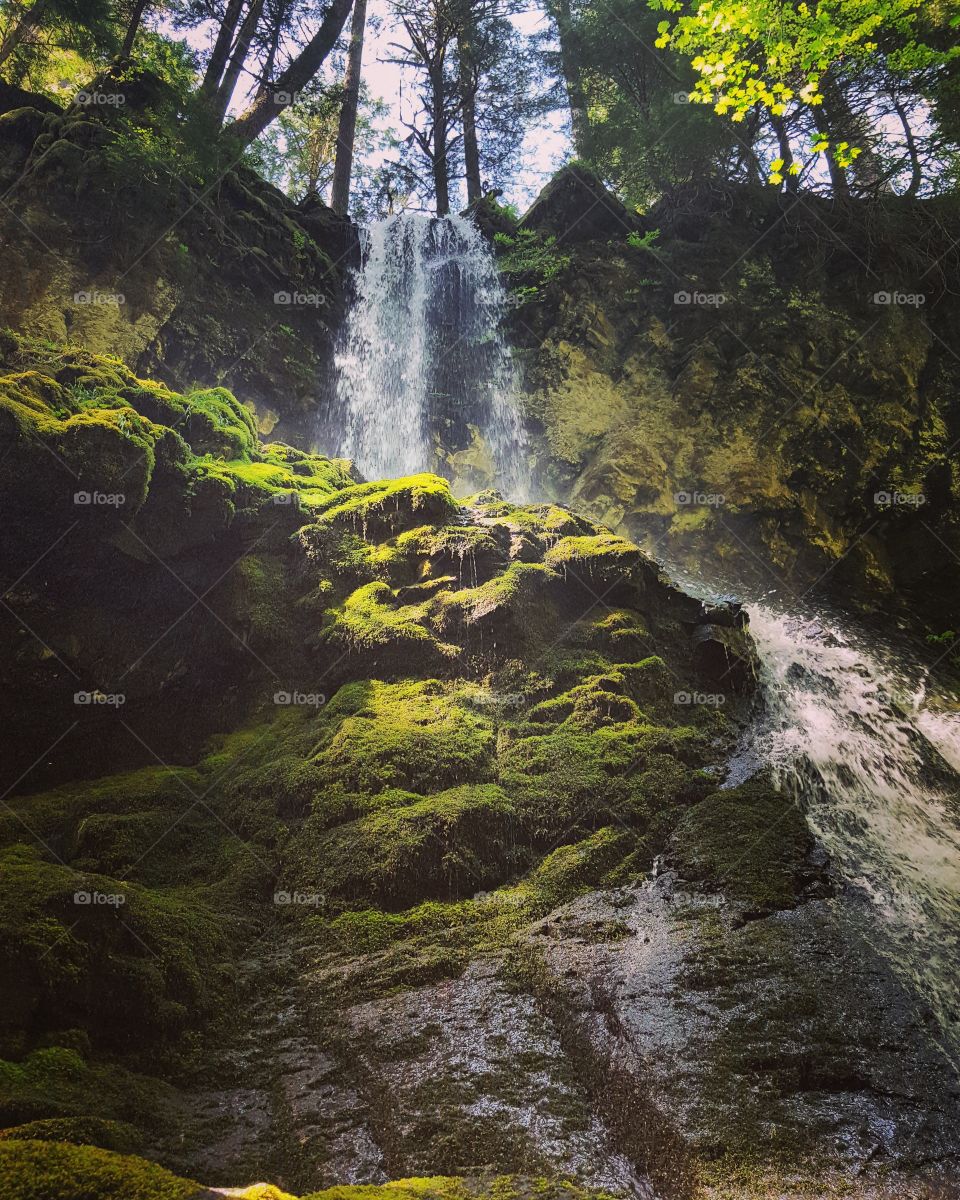 Mossy Waterfall
