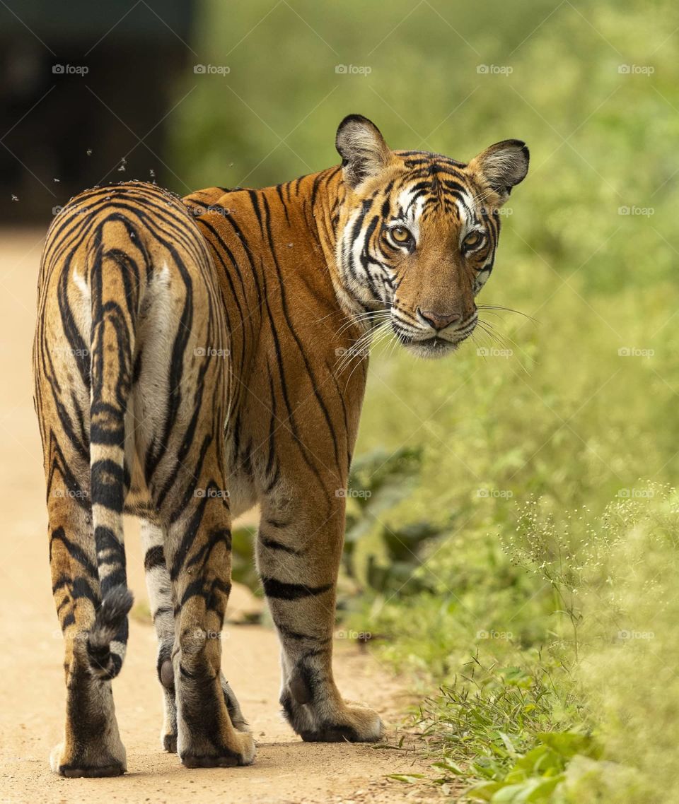 Backwater QUEEN ❤️