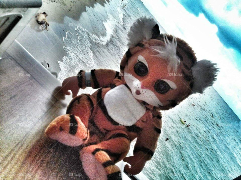 Real Tiger Cat doll having lunch over the ocean