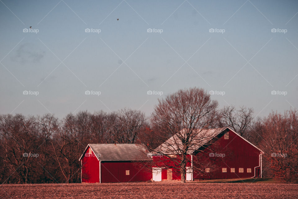 Red barn