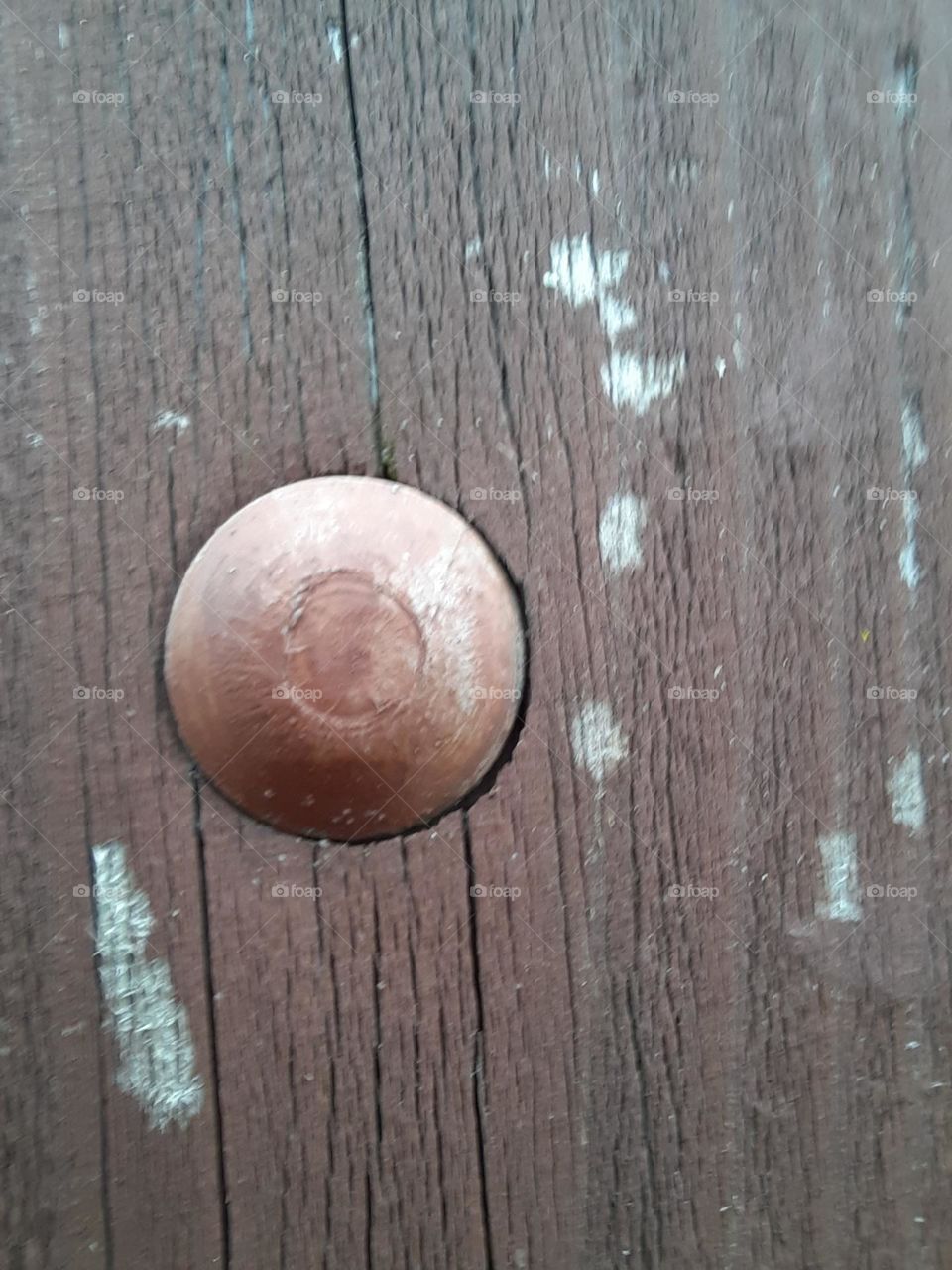 nail head in wooden board