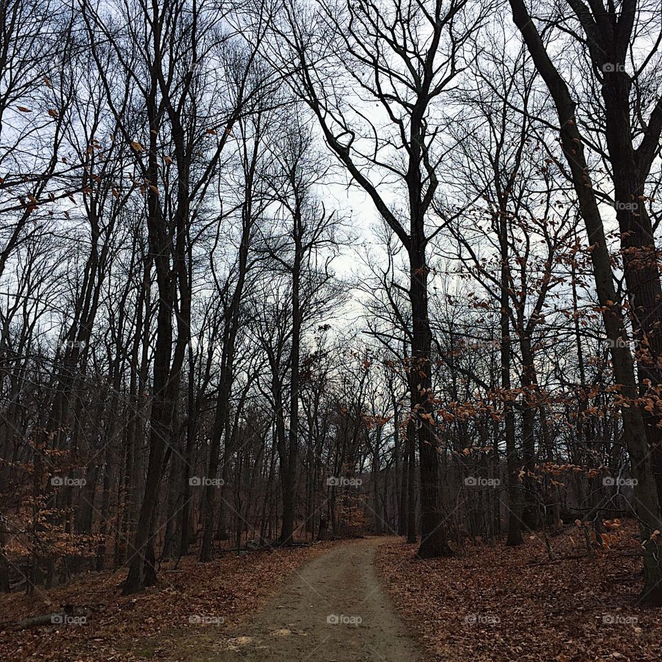 Another long run this morning putting in more than four hours out here the last 24 hours. "If you find a path with no obstacles, it probably doesn't lead anywhere." Frank A. Clark

