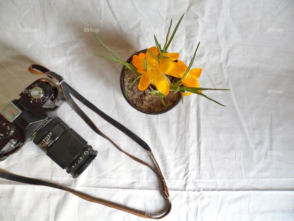 flower and camera