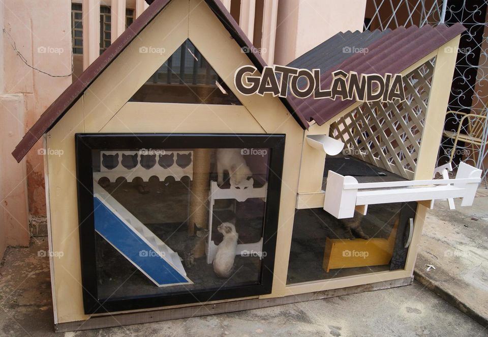 Cat house.