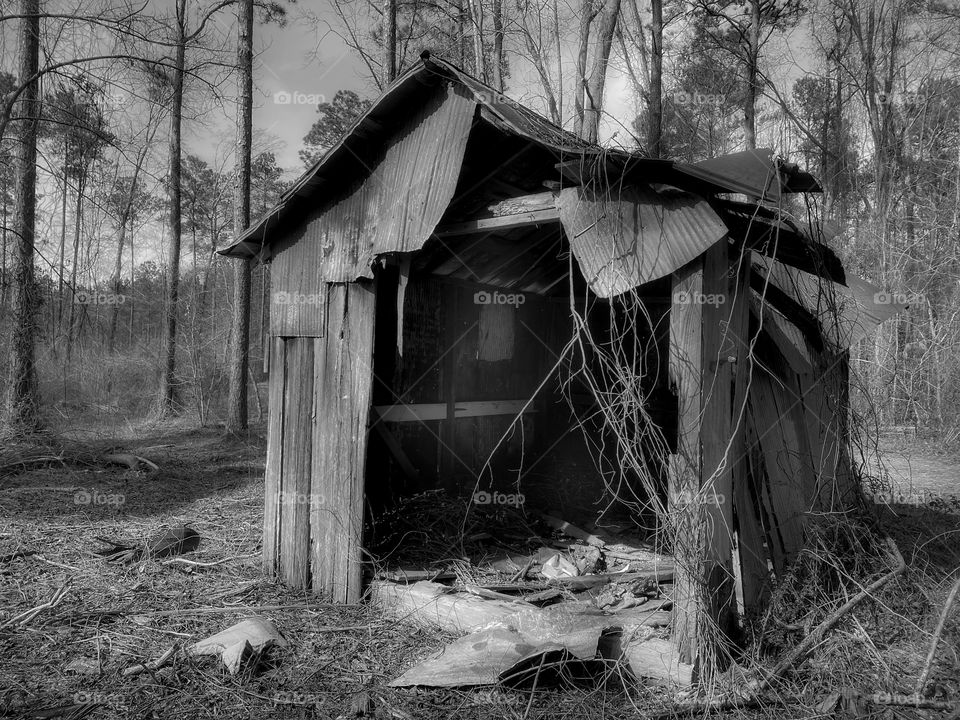 Broken Shed