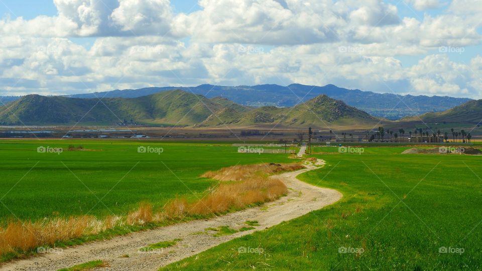 The Desert Flourishes in Spring - Moreno Valley, CA