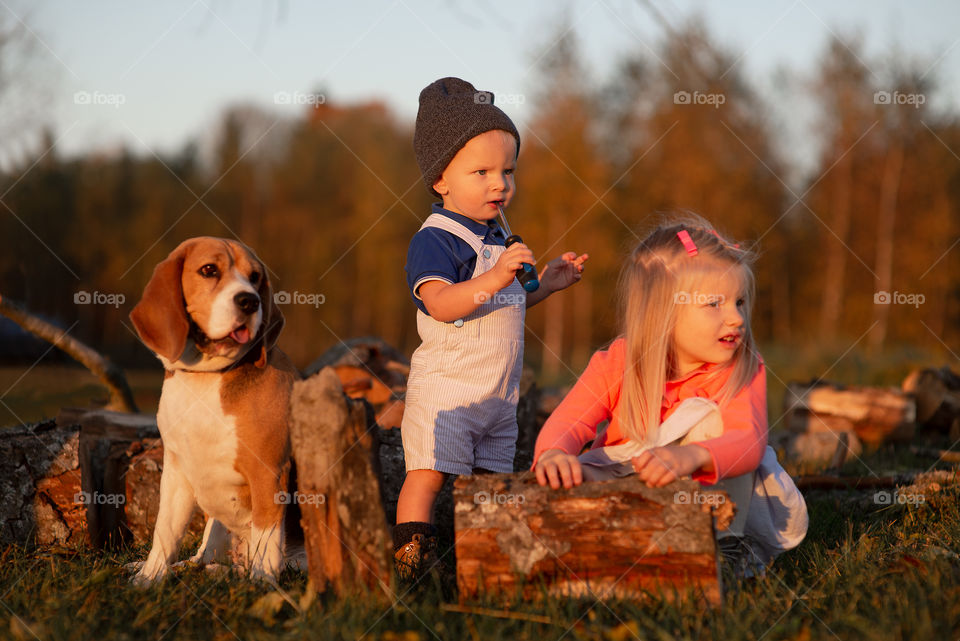 Two children and dog playing outdoor