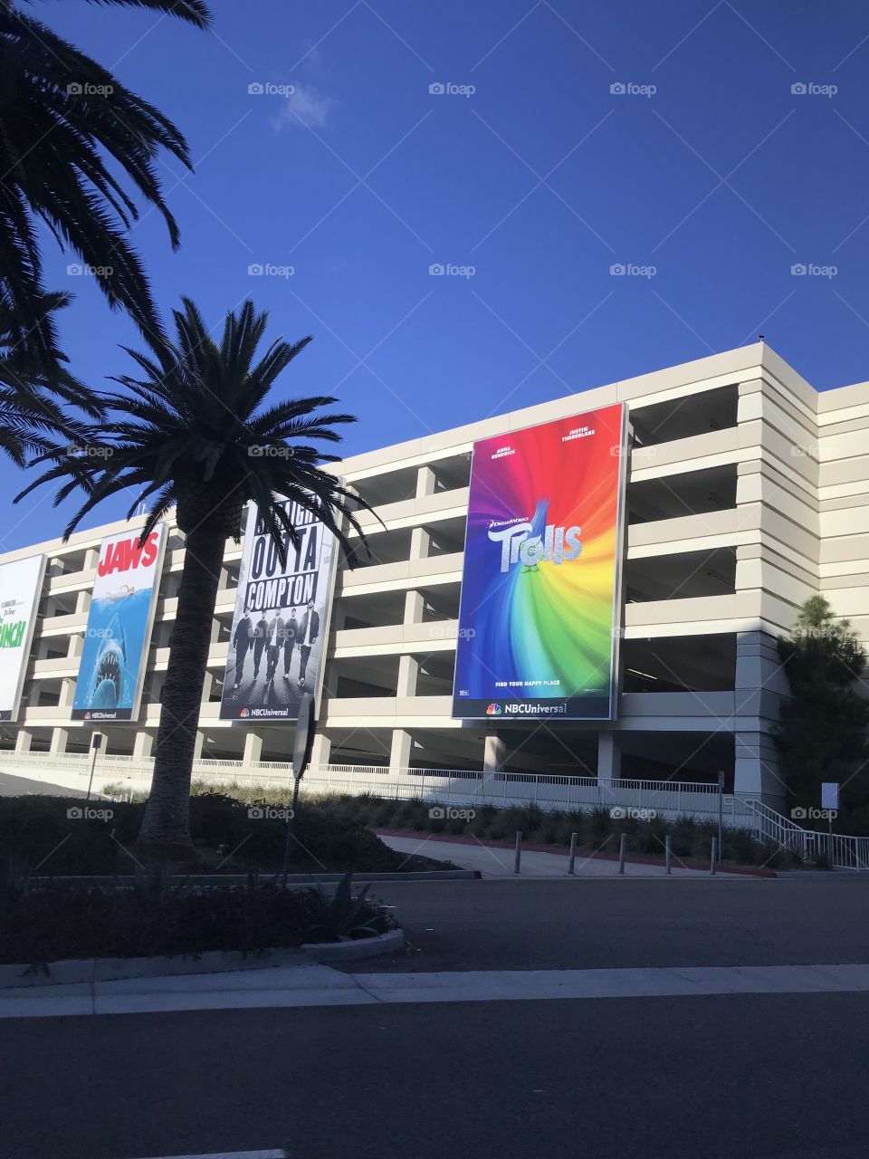 palms universal studio 