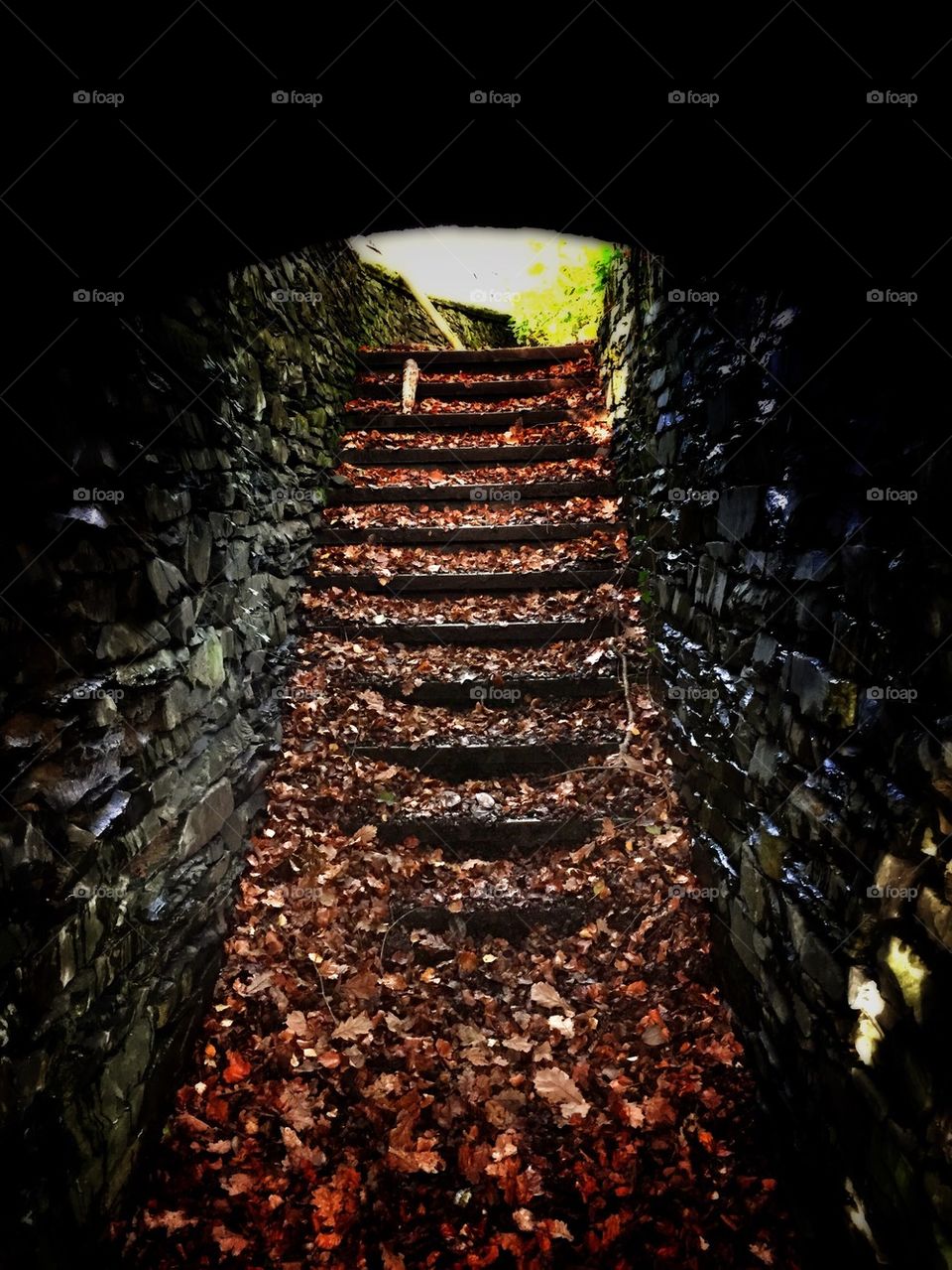 Autumn staircase