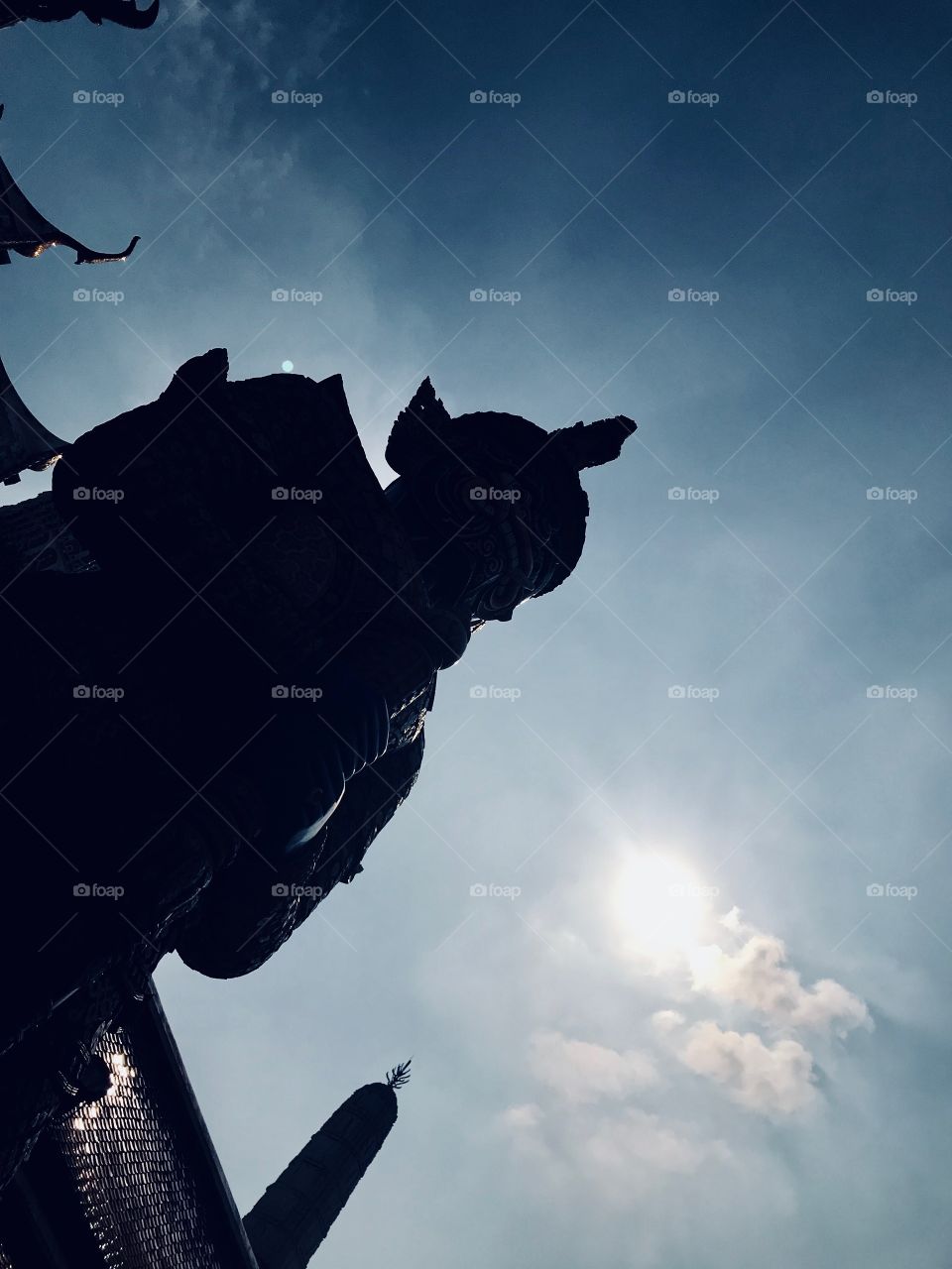 Strong shadow as the guard 