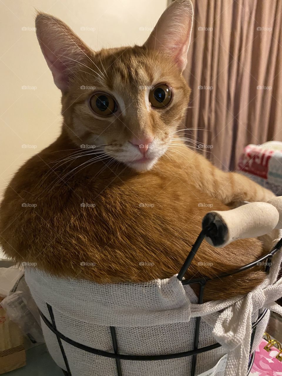 See dad I can fit too