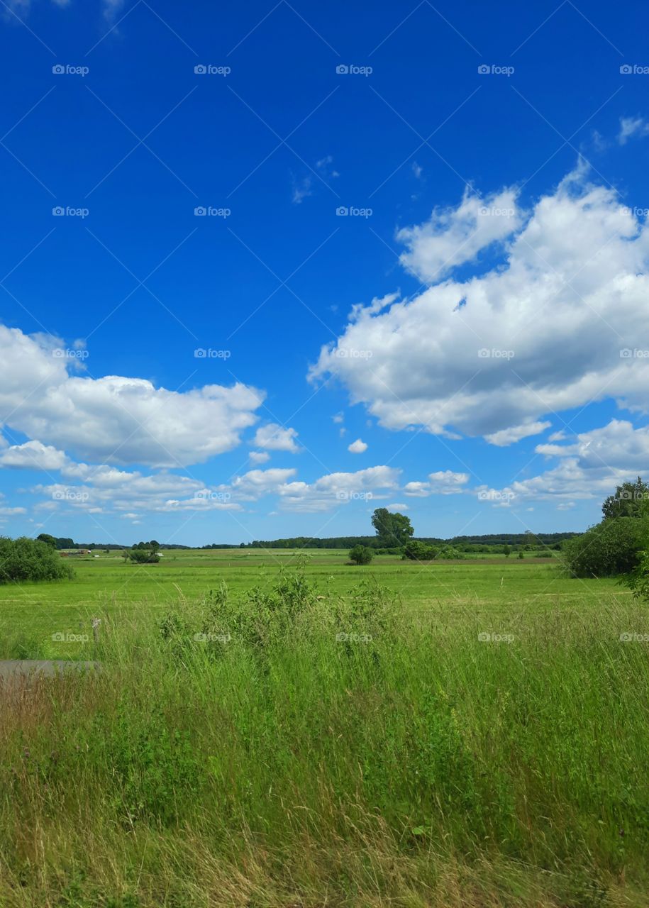 green pastures  and blue sky