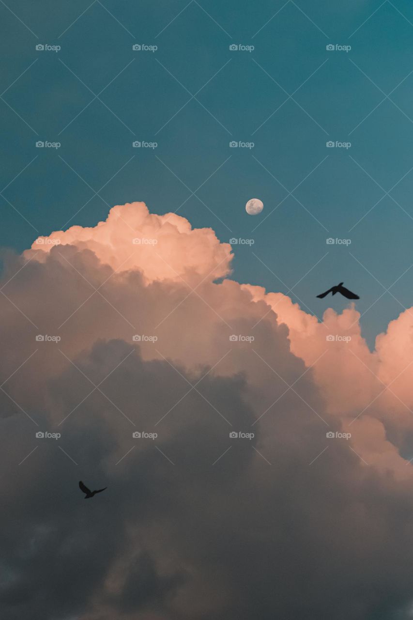 Soaring behind the clouds