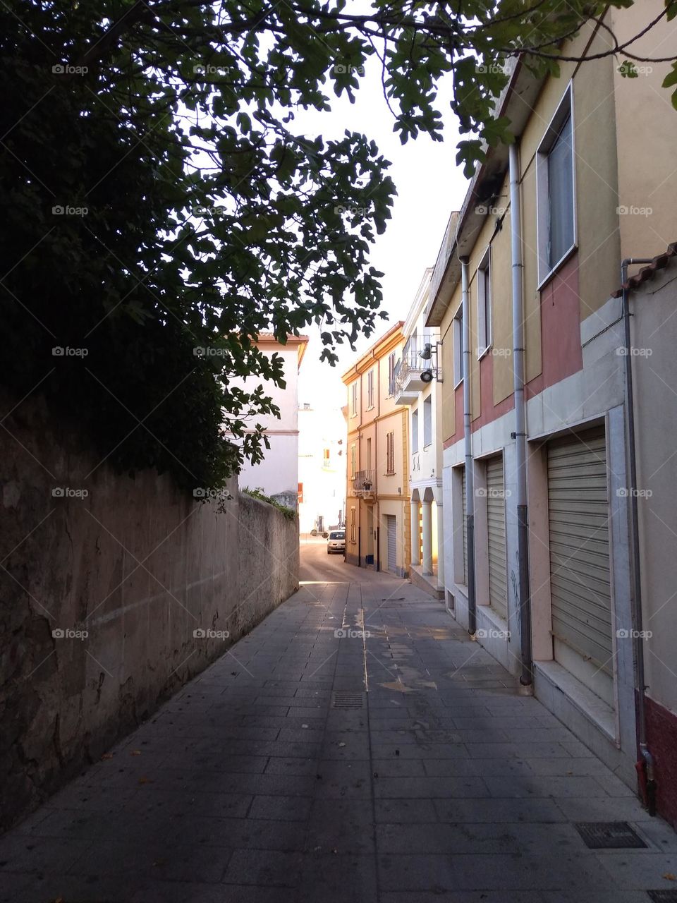 Best of 2021: Nature