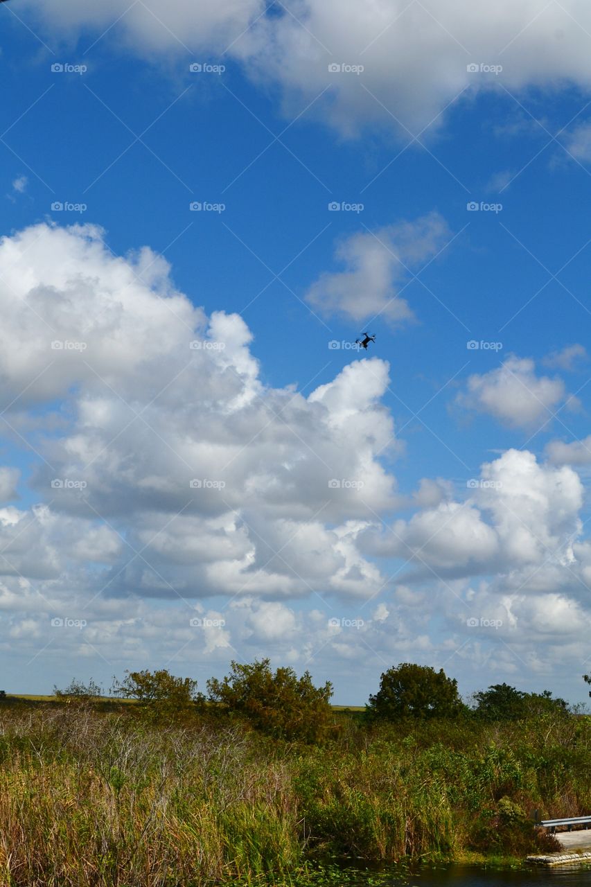 drone flying over the Florida Everglades