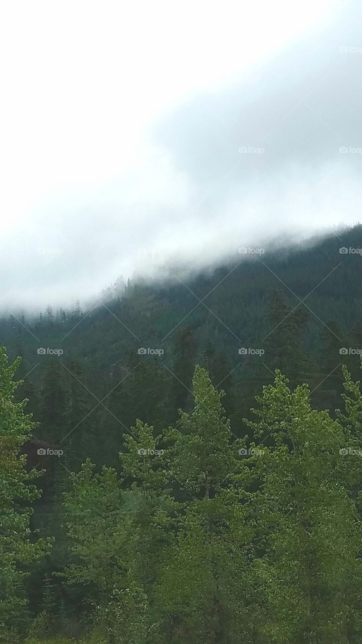 misty mountain top