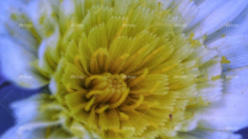 José Luis Rodríguez