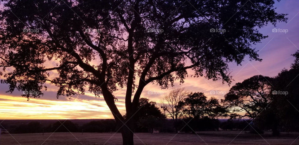 Sunset in Texas 