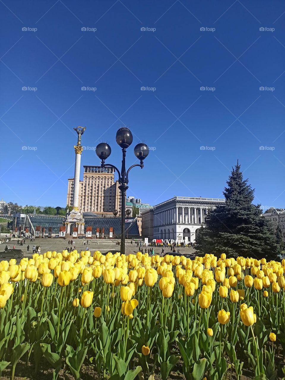 Independence Day. Ukraine. Kyiv