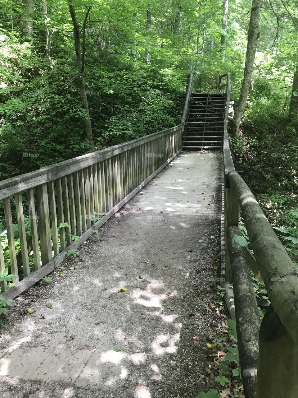 Bridge in Kentucky