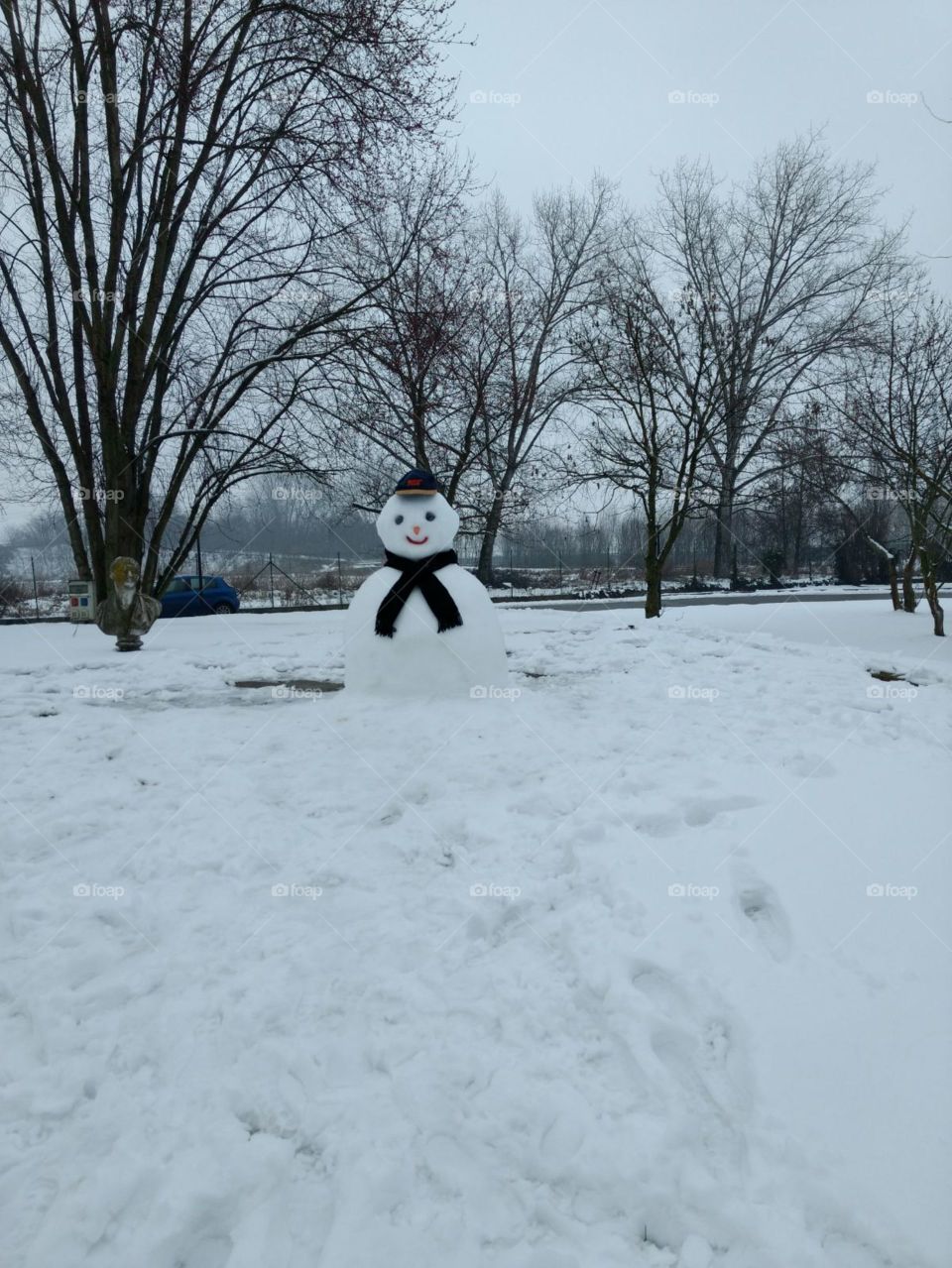 snow man in winter