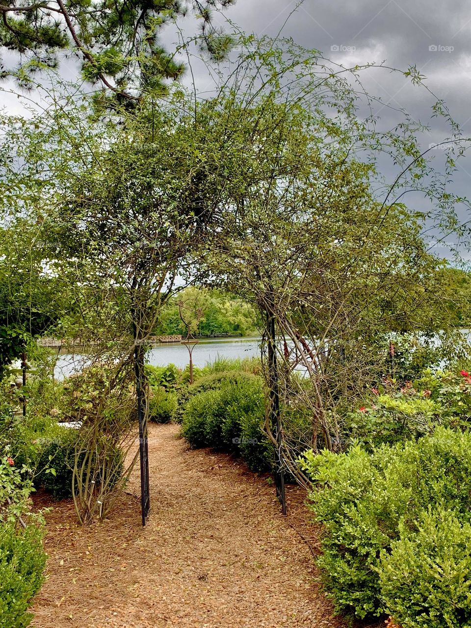 Garden entrance 