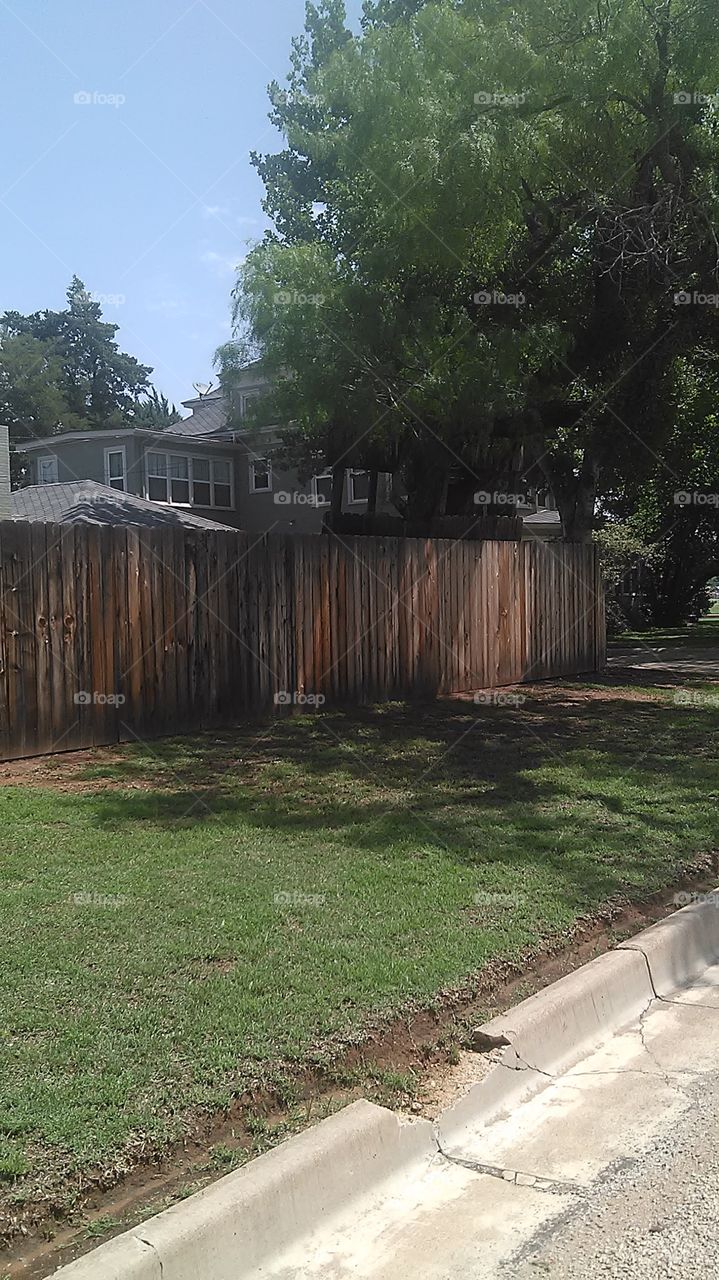 treehouse. this tree house was leaning towards the fence