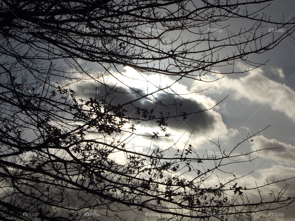 Haloween Bat Cloud