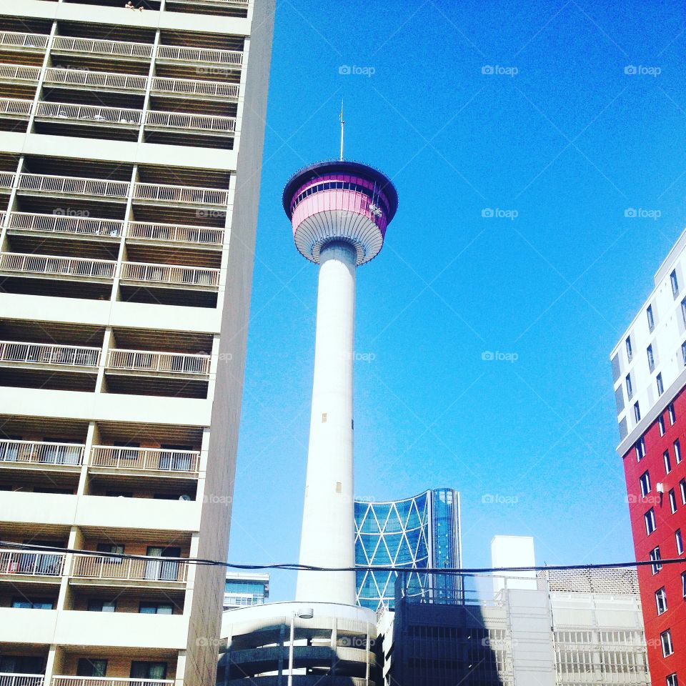 Calgary tower! 