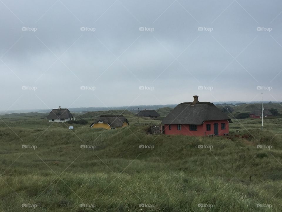 House on grassy land