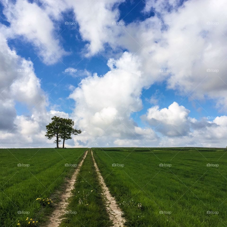 Rural, No Person, Grass, Sky, Landscape