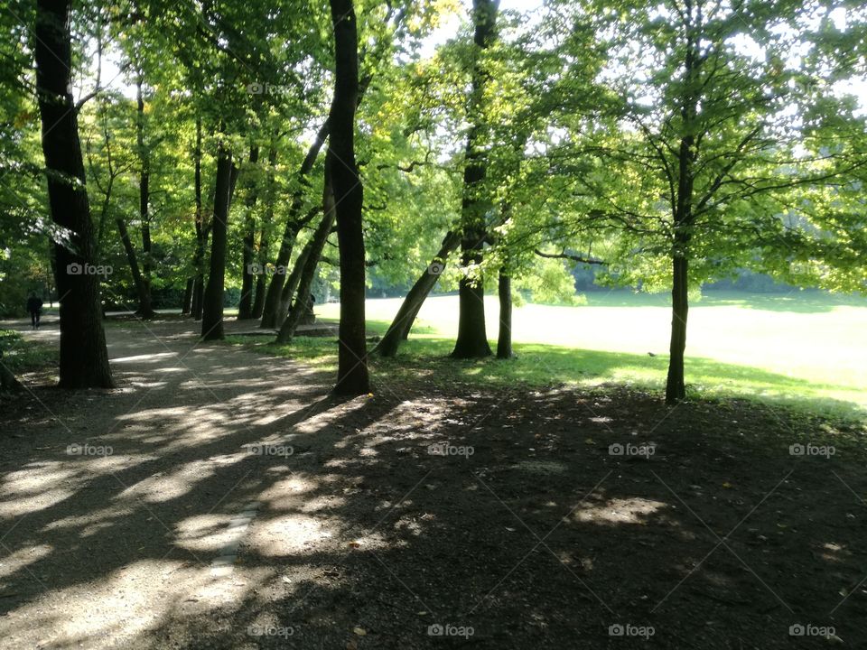 Munich park