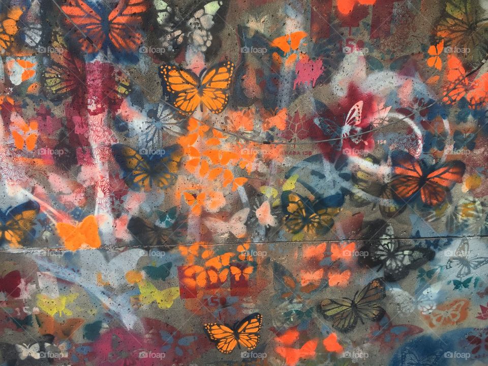  Butterfly prints 
