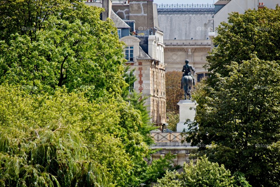 glass building in the city