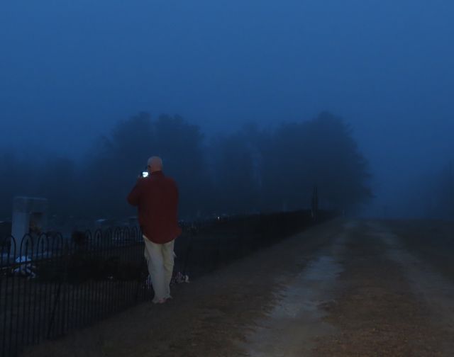 Fog. Fog