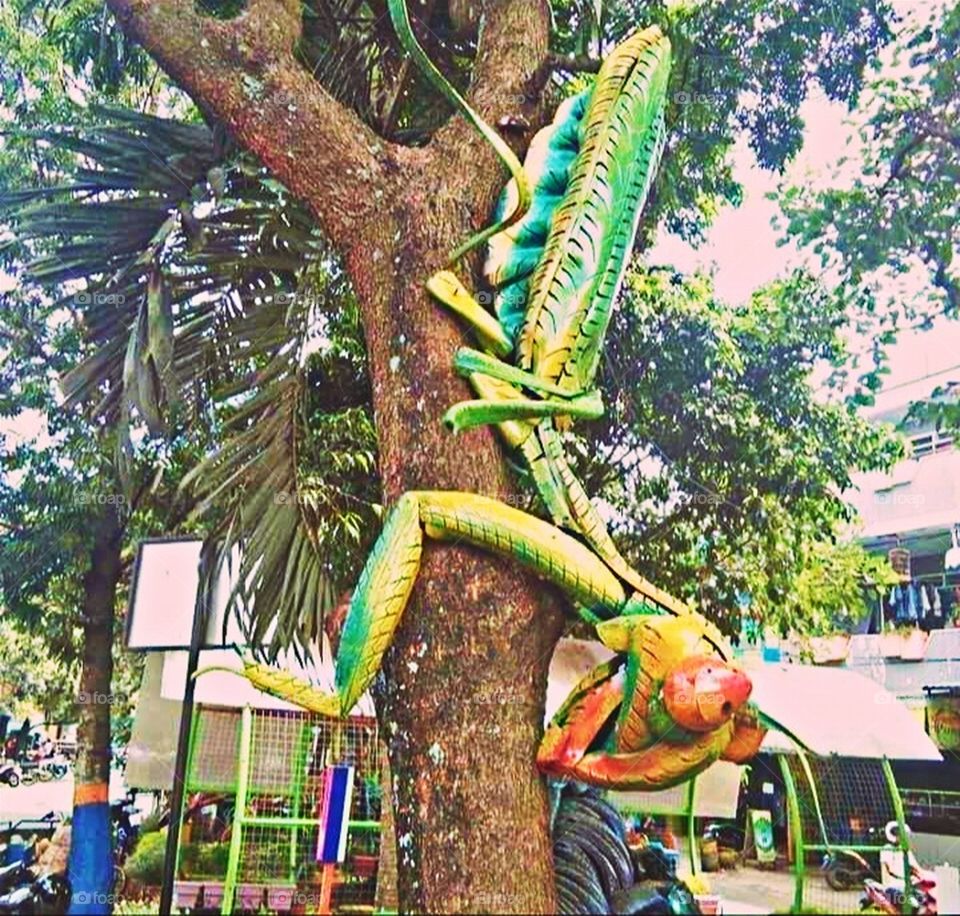 Giant Preying Mantis Made Out of Spare Tires!