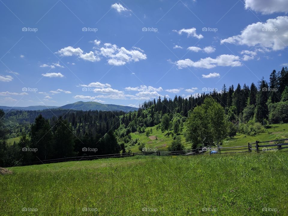 Carpathian mountains landscape