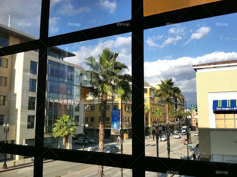 A view of Colorado Boulevard in Pasadena California from inside an establishment.