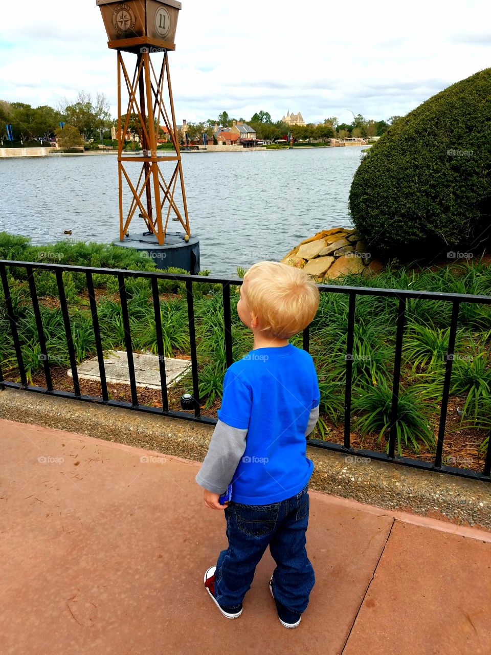 Child, Leisure, Summer, Boy, Outdoors