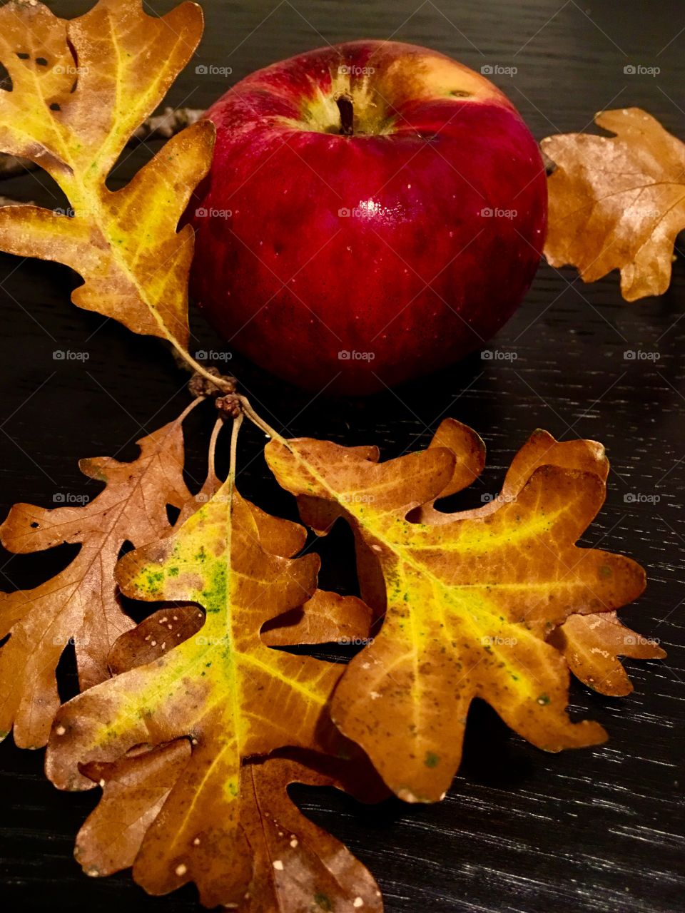 Aging Apple and leaves. 