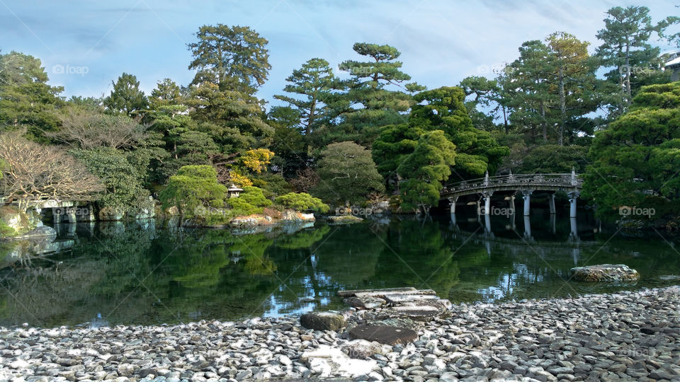 nature and architecture. garden design.japanese gardens.pond and bridge.