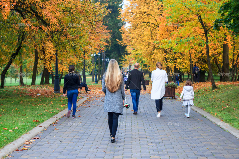 people walk through the alleys of the autumn park