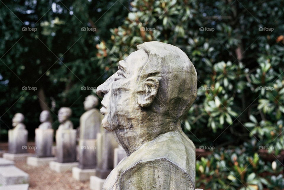 Row of bust sculptures 