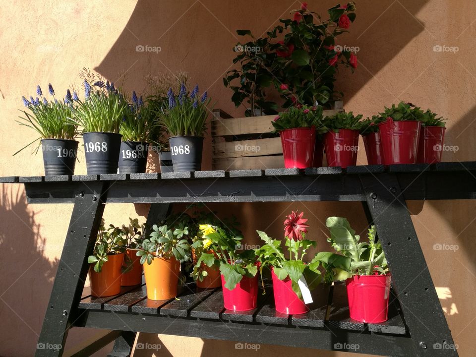 Flower pots for sale in market