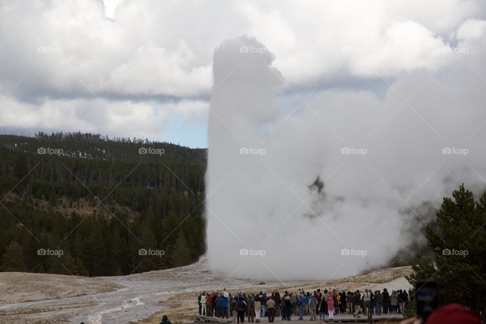 Old Faithful 