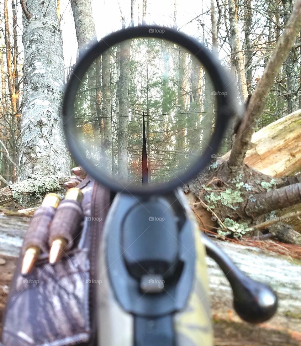 looking down the scope