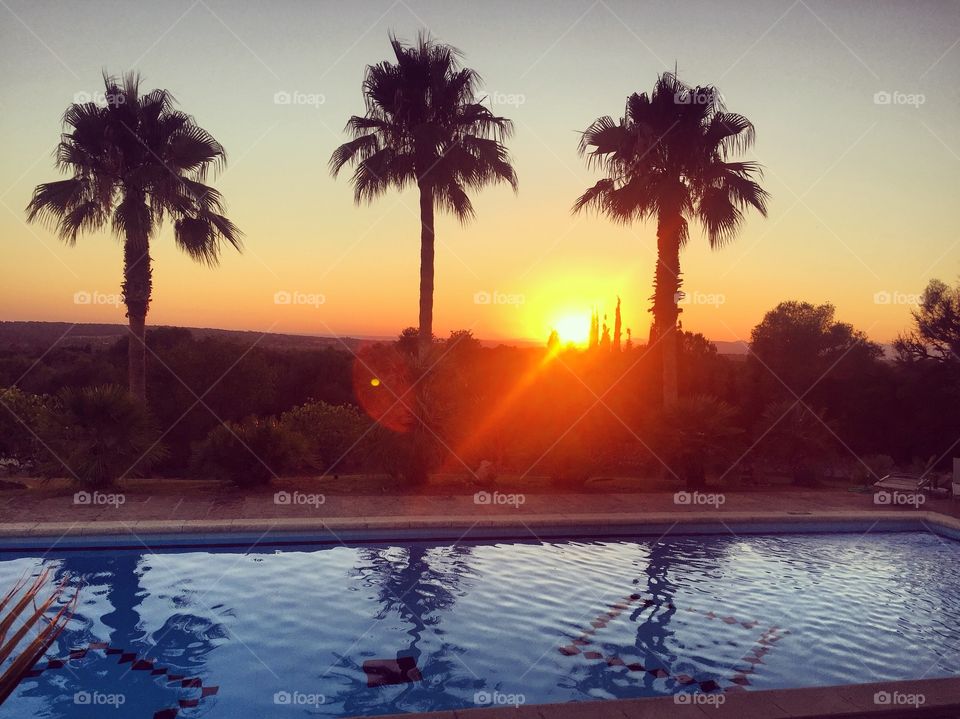 Swimming pool, palm trees and sunset in Mallorca